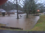 Flood Photo 3